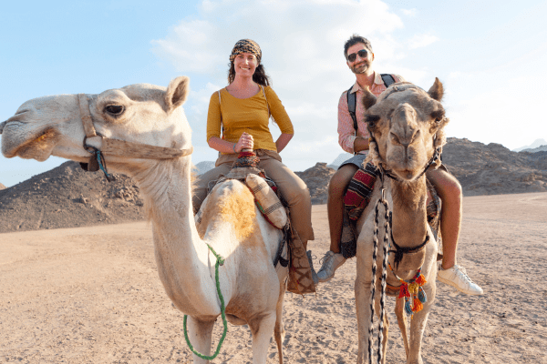 Discover Egypt Through the Eyes of Our Travelers: Real Reviews and Testimonials