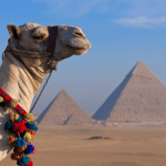 Unveiling Cairo’s Quintessential Experiences: A Journey Through Time and Culture