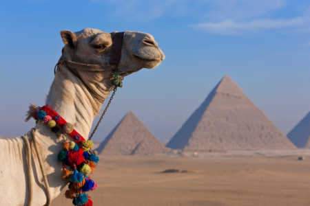 Cairo’s Timeless Treasures: Pyramids, Sphinx, Egyptian Museum & Khan El Khalili