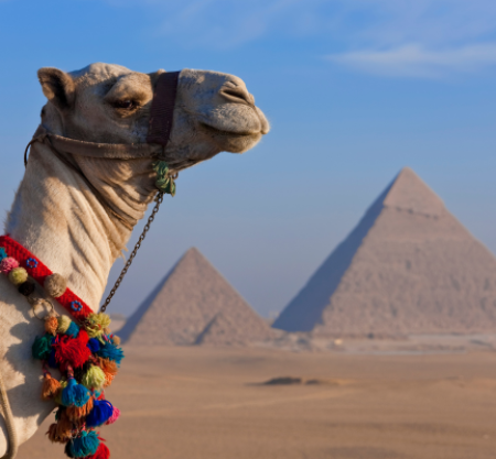 Cairo’s Timeless Treasures: Pyramids, Sphinx, Egyptian Museum & Khan El Khalili