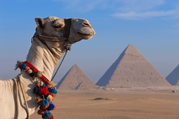 Day 5: Farewell Cairo - Journey Home