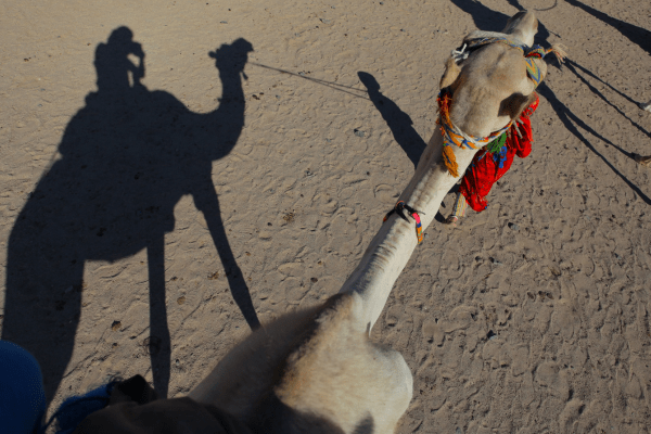 Rider's shadow on camel in desert setting.