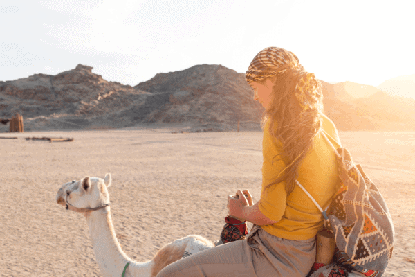 Super Safari Adventure Jeep, Quad, Camel Ride, and BBQ Dinner: Hurghada
