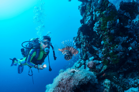 Diver encountering a lionfish near coral reef underwater.