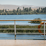 View from a Nile cruise boat overlooking the river and lush greenery in Egypt.