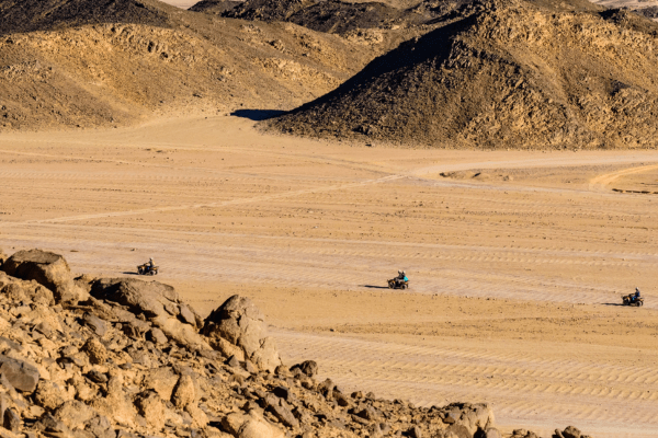 ATVs riding in desert landscape.
