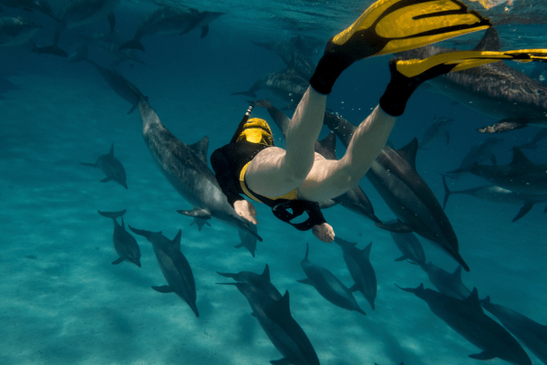 Diver swimming with fish underwater.