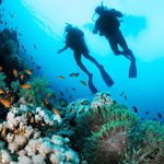 Discovery travel Egypt,personalized experiences,exclusive sites,cultural immersion,Discovery Tours Egypt.