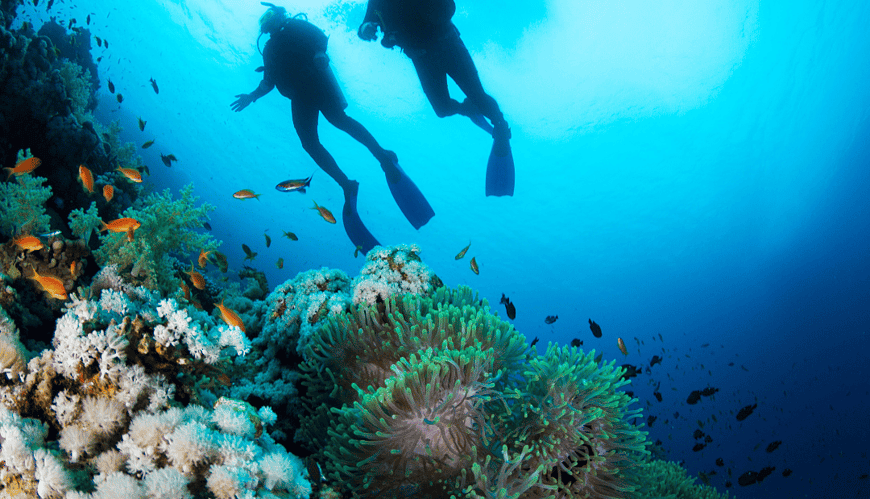 Embrace the Thrill: Top Adventure Tours in Egypt with Discovery Tours