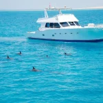 Yacht sailing with dolphins in blue sea.