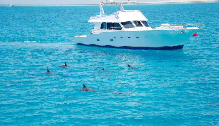 Yacht sailing with dolphins in blue sea.