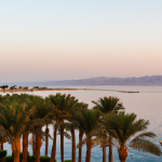 Palm trees overlooking serene sunset lake scenery