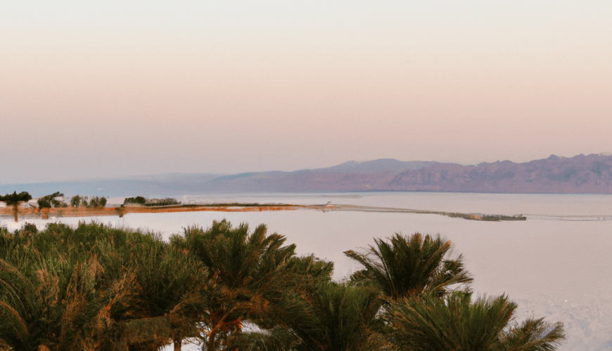 Palm trees overlooking serene sunset lake scenery