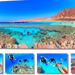 Tropical beach and divers exploring coral reef underwater.