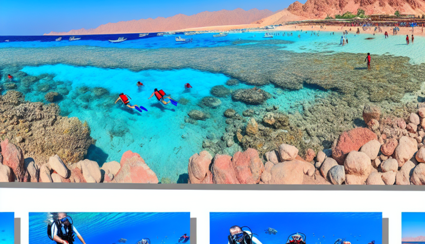 Tropical beach and divers exploring coral reef underwater.